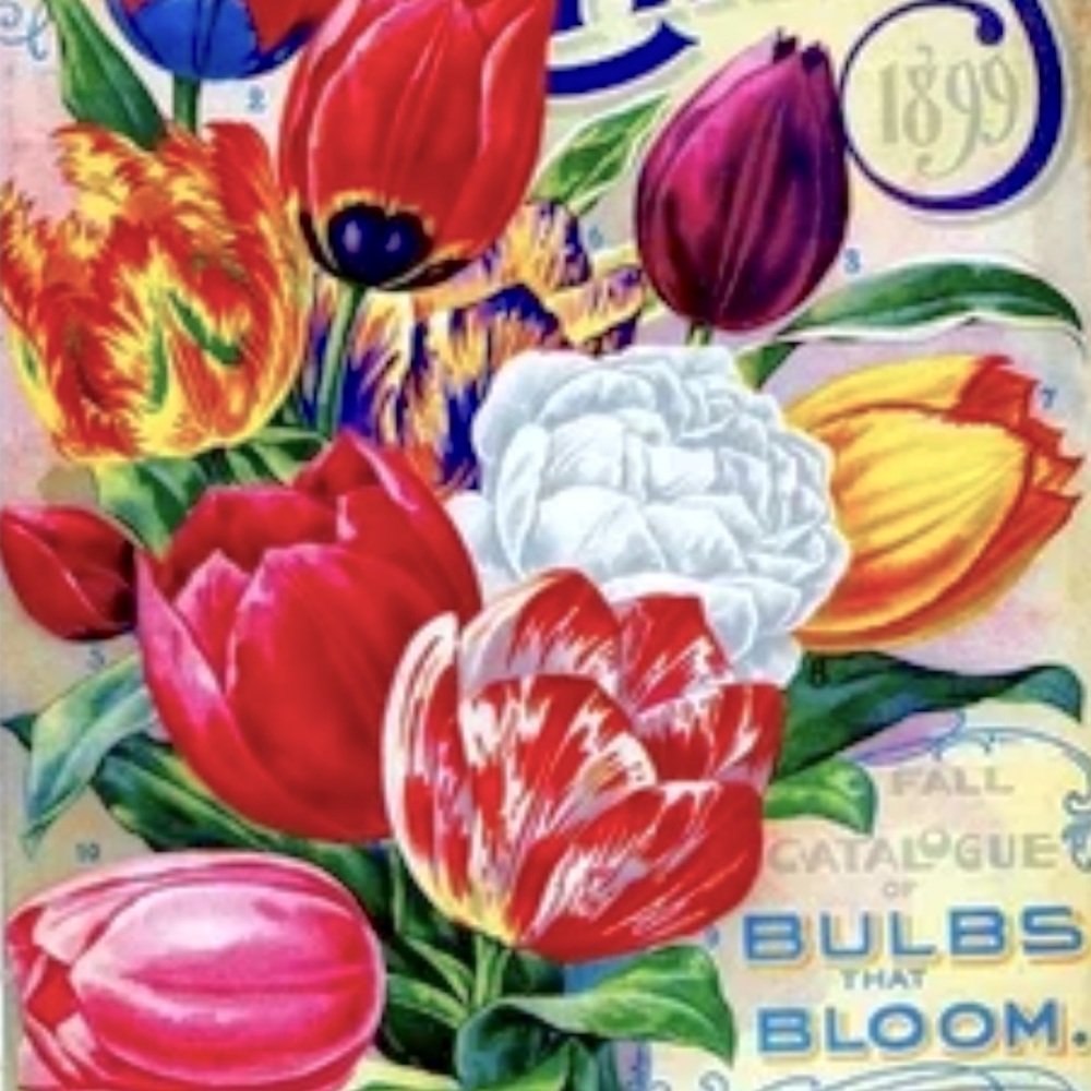 5 lb Spring Mystery Box